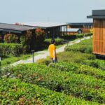 Eco-Friendly Bike Rentals: Your Ultimate Guide to Sustainable E-Bike Tours