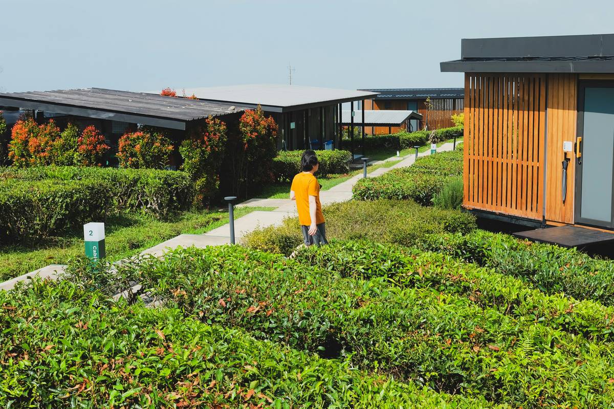 Eco-Friendly Bike Rentals: Your Ultimate Guide to Sustainable E-Bike Tours