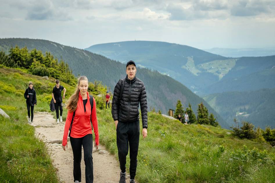 Group of ebike riders exploring a lush forest path