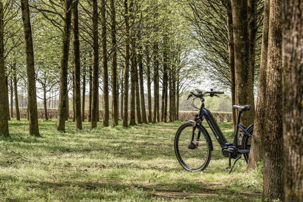 Why Your Next Adventure Needs a Green E-bike Path (And How to Nail It)